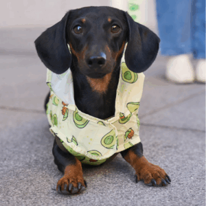 Impermeabile Avocado